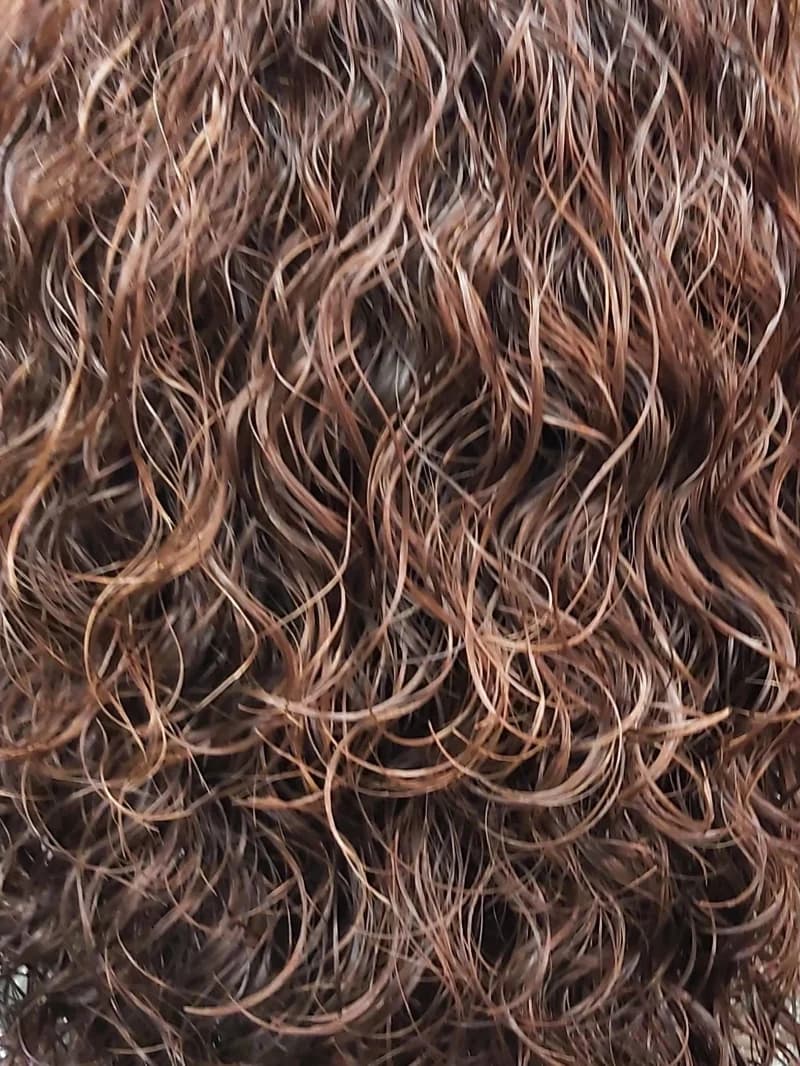 Nely Style - Galerija